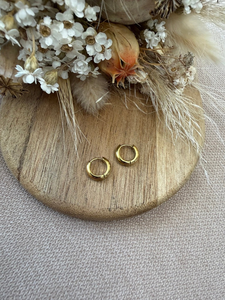 Boucles d'Oreilles Adrienne