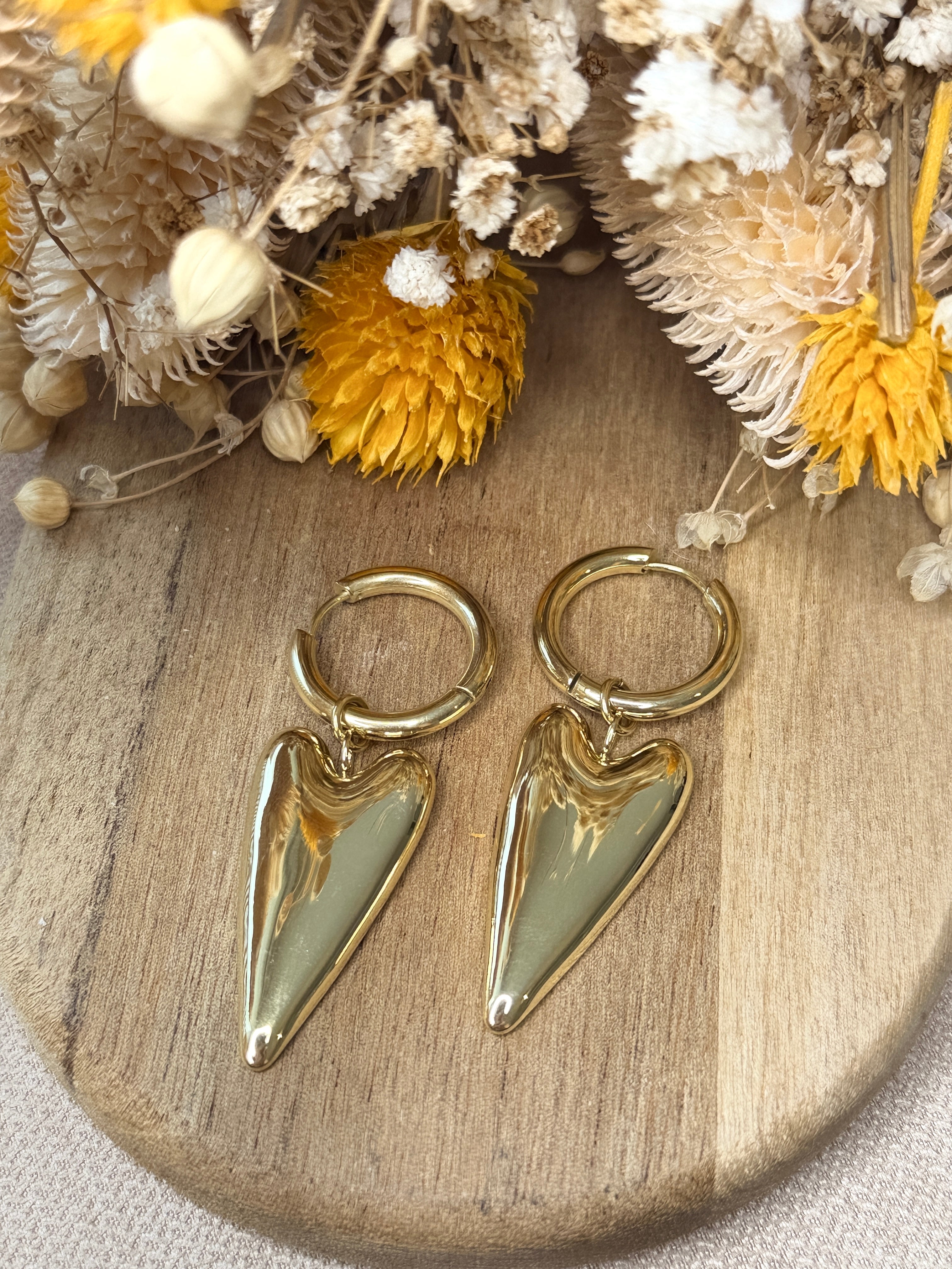 Boucles d'Oreilles Clelya