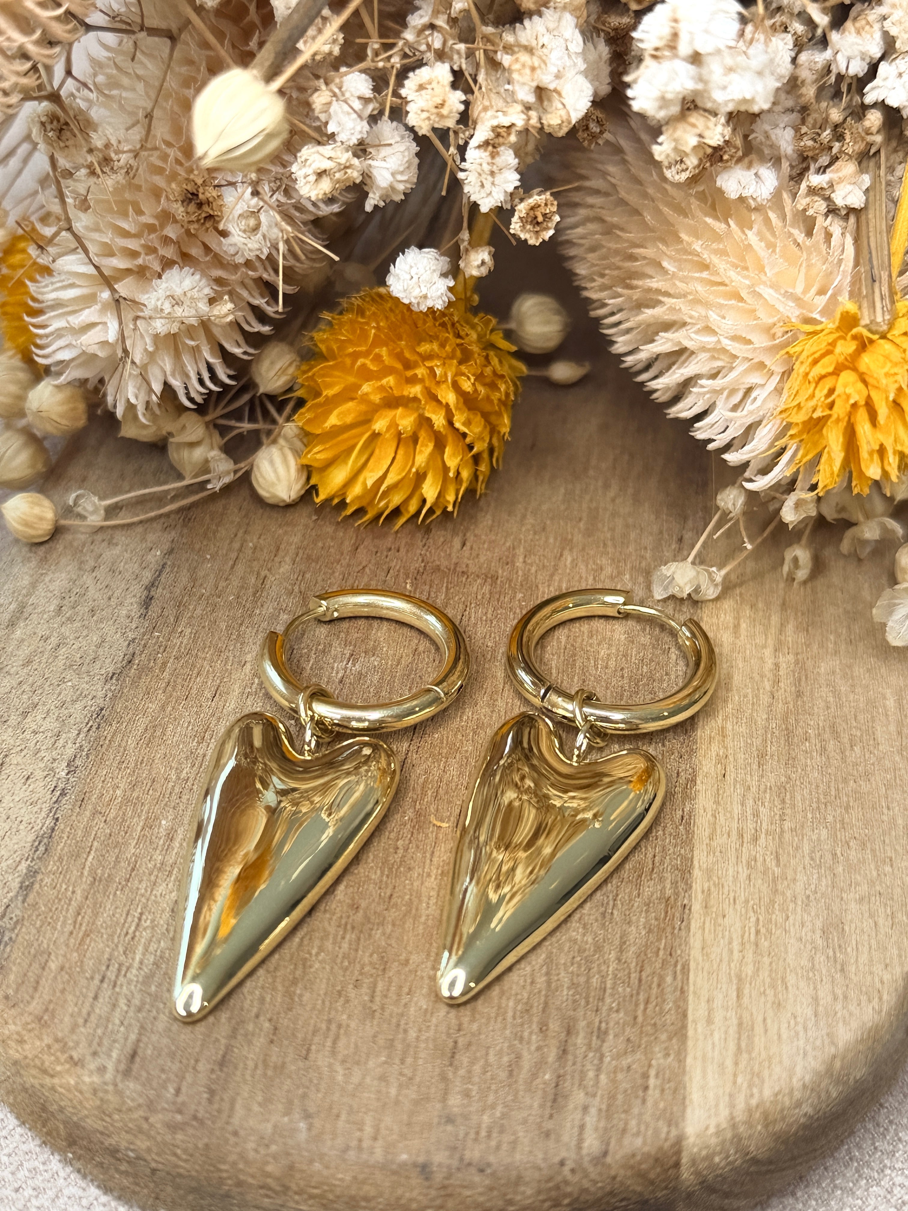 Boucles d'Oreilles Clelya