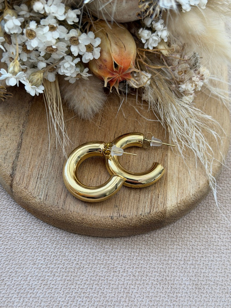 Boucles d'Oreilles Clémentine