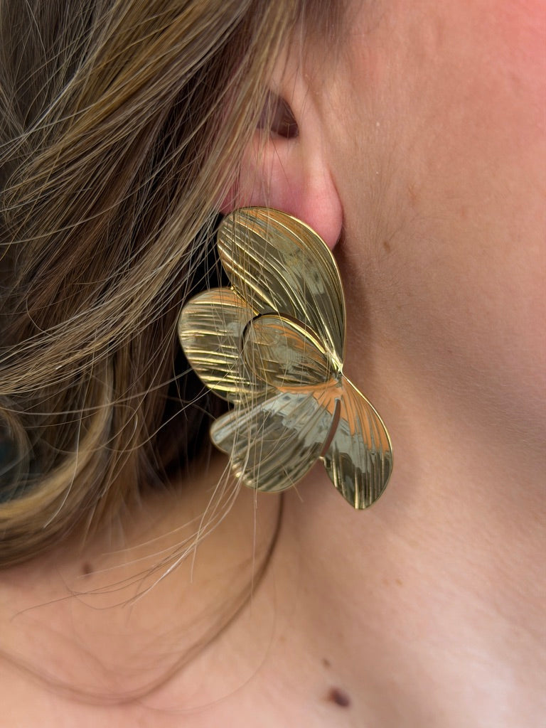 Boucles d'Oreilles Daphné