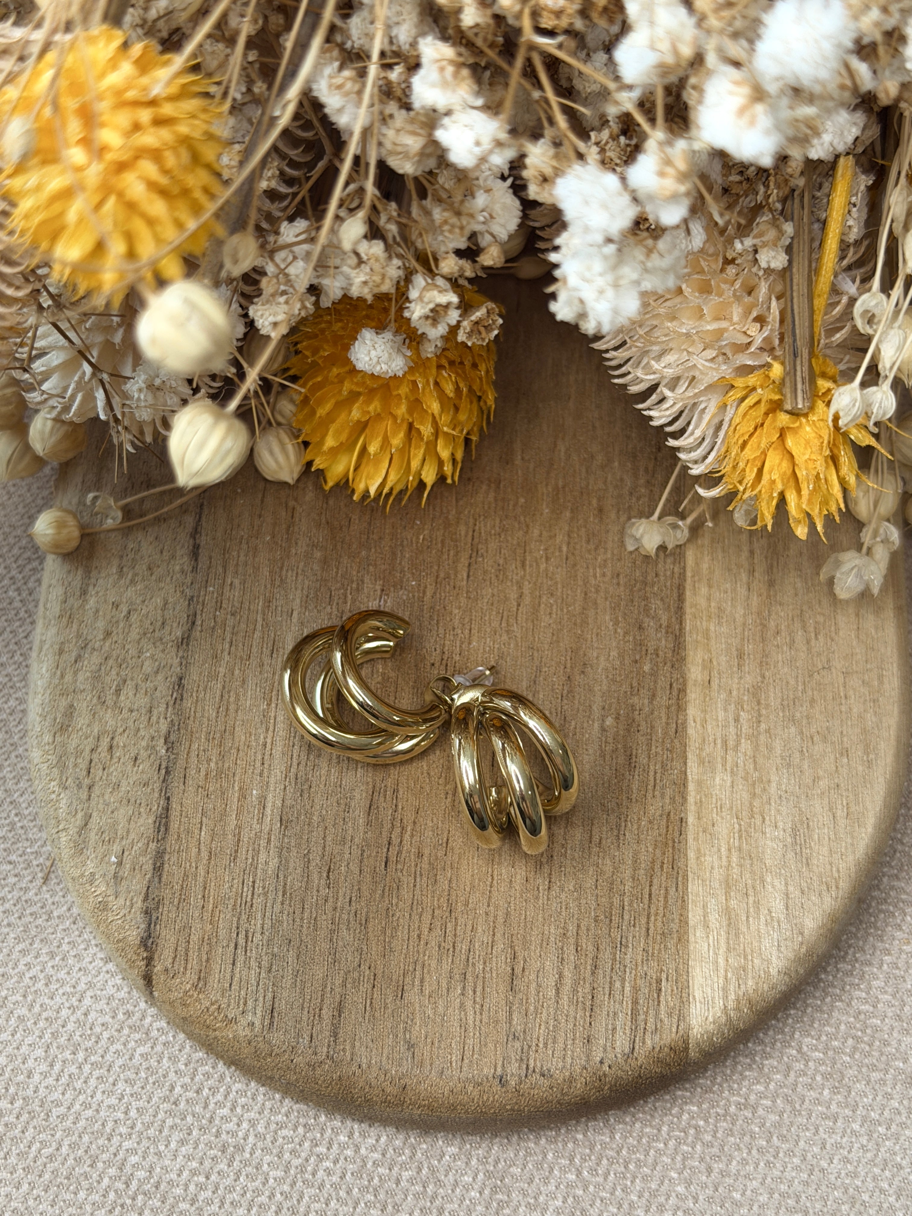 Boucles d'Oreilles Eva