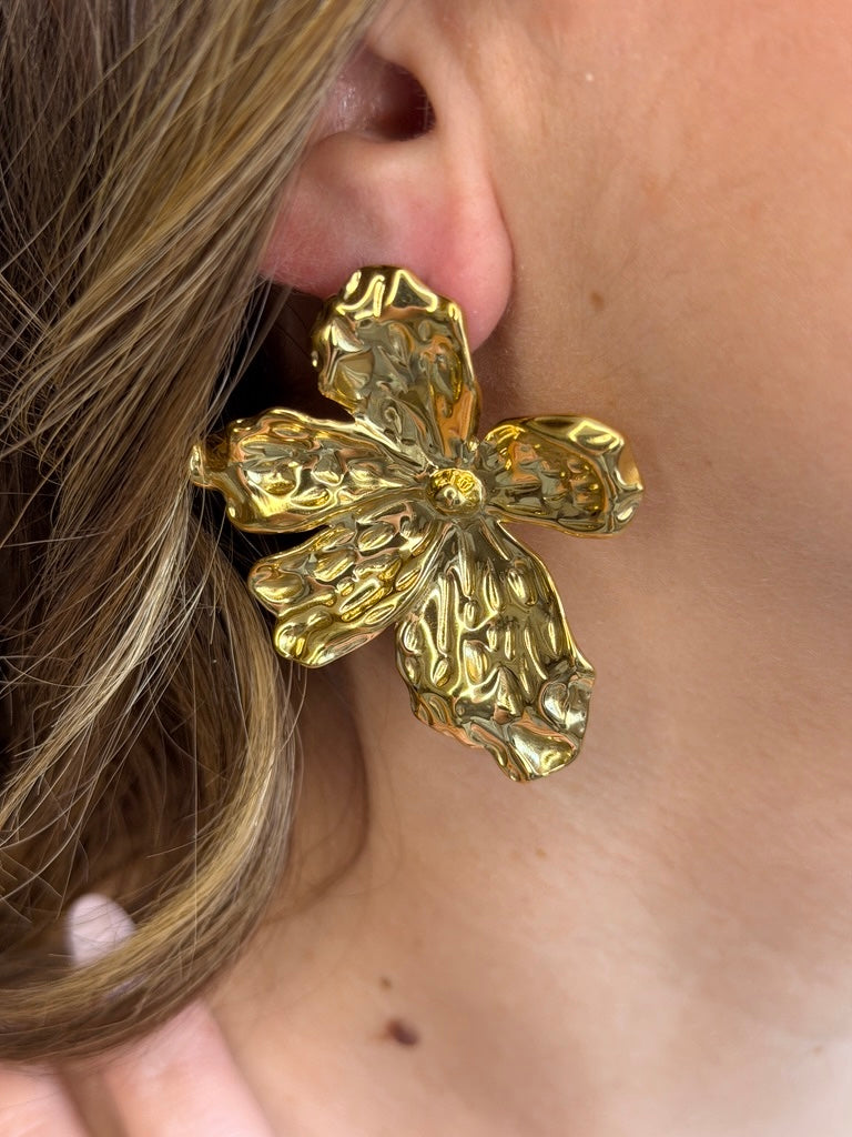 Boucles d'Oreilles Nicolette